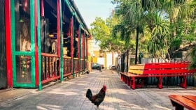 A rooster stands alone in the middle of a brick walkway.