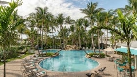 A long shot of the figure-eight swimming pool surrounded by palm trees