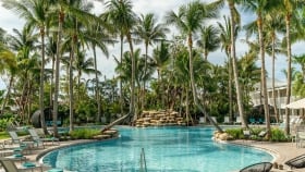 Panoramic view of the towering palm trees in the outdoor swimming pool area