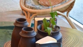 Close up of the decorative wooden vases next to a potted plant and a pair of books on a table overlooking a hoop chair