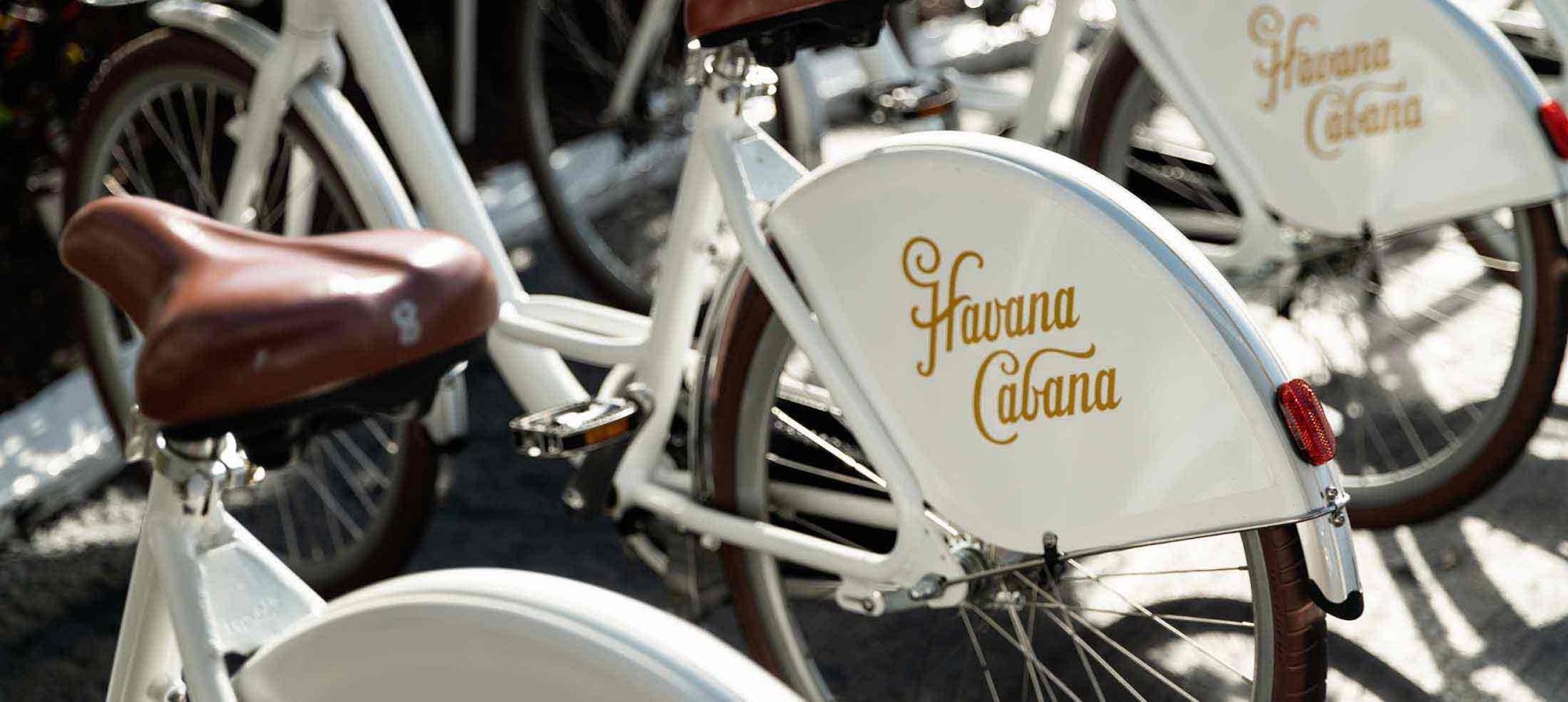 A close focus on the Havana Cabana logo on the top corner of the tire
