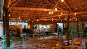 Straw and wood rooftop decorated with string led light bulbs over the sitting area at the Tiki Hut