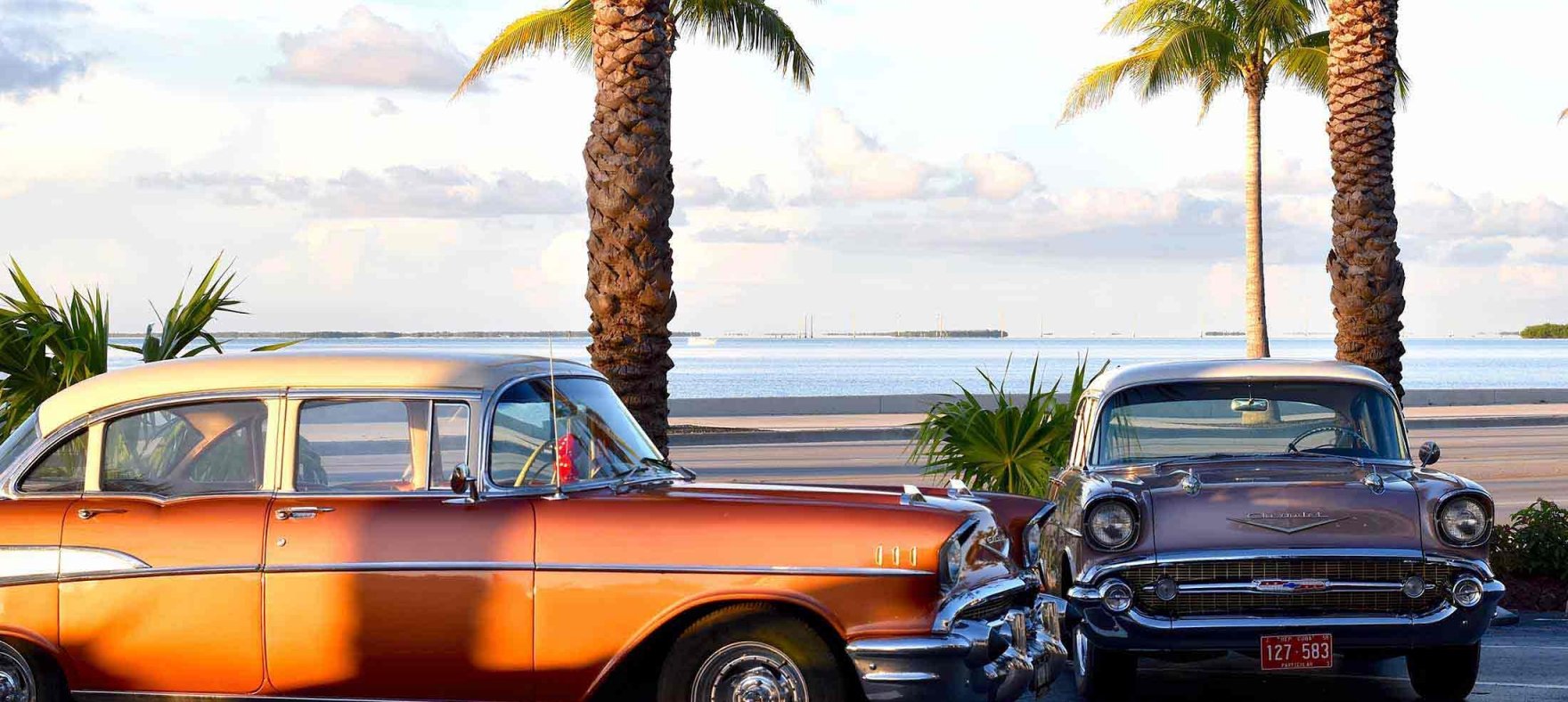 Parked classic cars with the beach and palm trees in the background