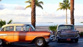 Parked classic cars with the beach and palm trees in the background