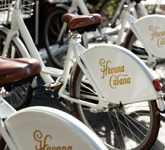 A close up of the Havana Cubana logo on the bikes' tire area